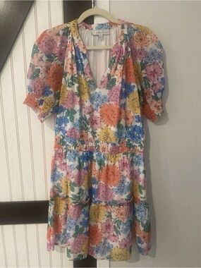 Adelyn Rae Floral Metallic Stripe Chiffon Mini Dress Size Medium Spring